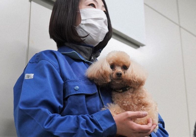 ba-inoue-va-cho-hannah ba-inoue-va-cho-hannah